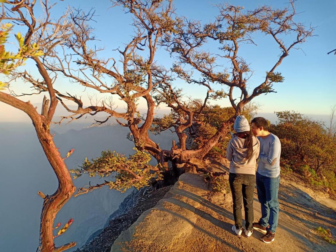 Thalia Homestay & Ijen Bromo Tour بانيووانجى المظهر الخارجي الصورة