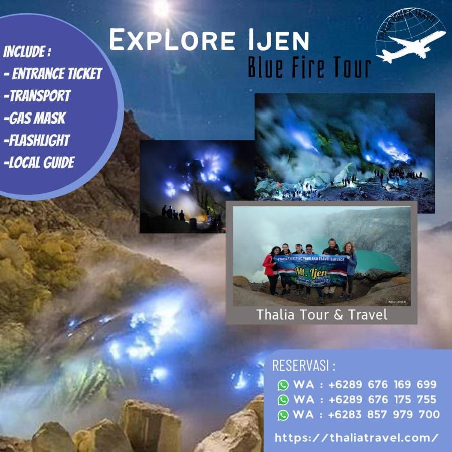Thalia Homestay & Ijen Bromo Tour بانيووانجى المظهر الخارجي الصورة