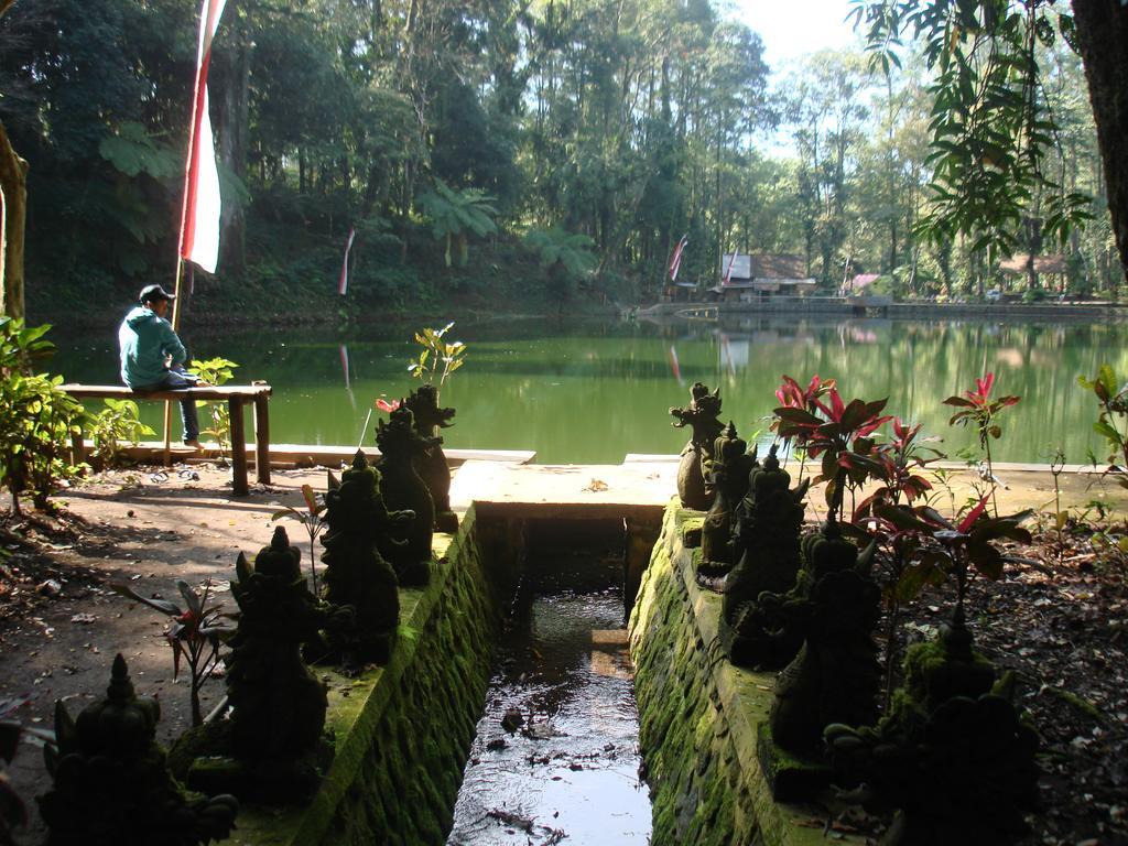Thalia Homestay & Ijen Bromo Tour بانيووانجى المظهر الخارجي الصورة