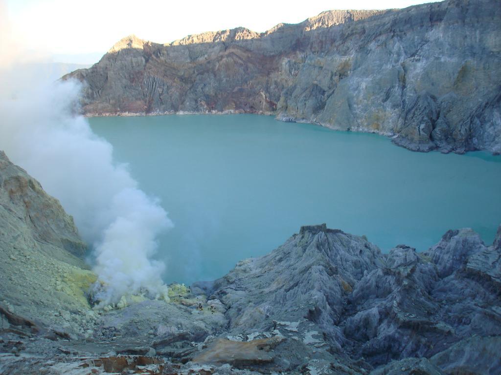 Thalia Homestay & Ijen Bromo Tour بانيووانجى المظهر الخارجي الصورة