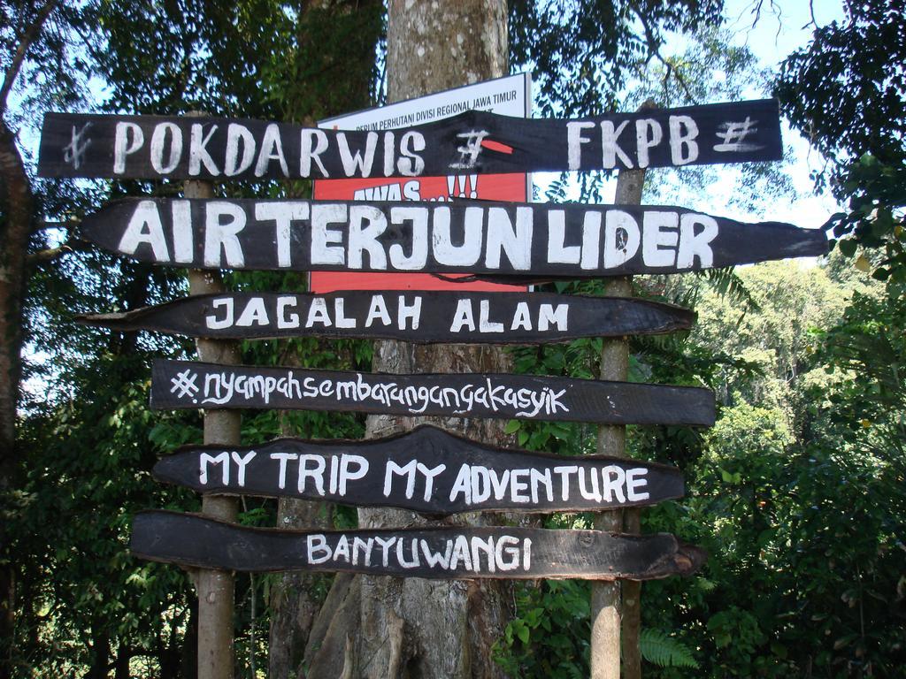 Thalia Homestay & Ijen Bromo Tour بانيووانجى المظهر الخارجي الصورة