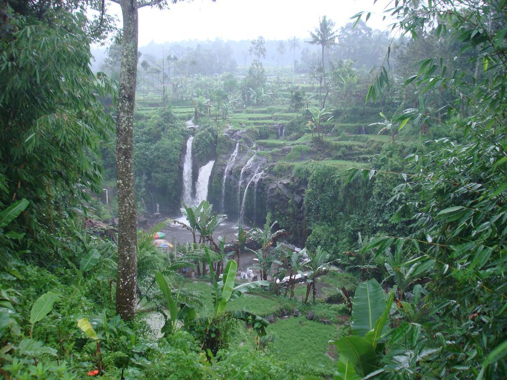 Thalia Homestay & Ijen Bromo Tour بانيووانجى المظهر الخارجي الصورة