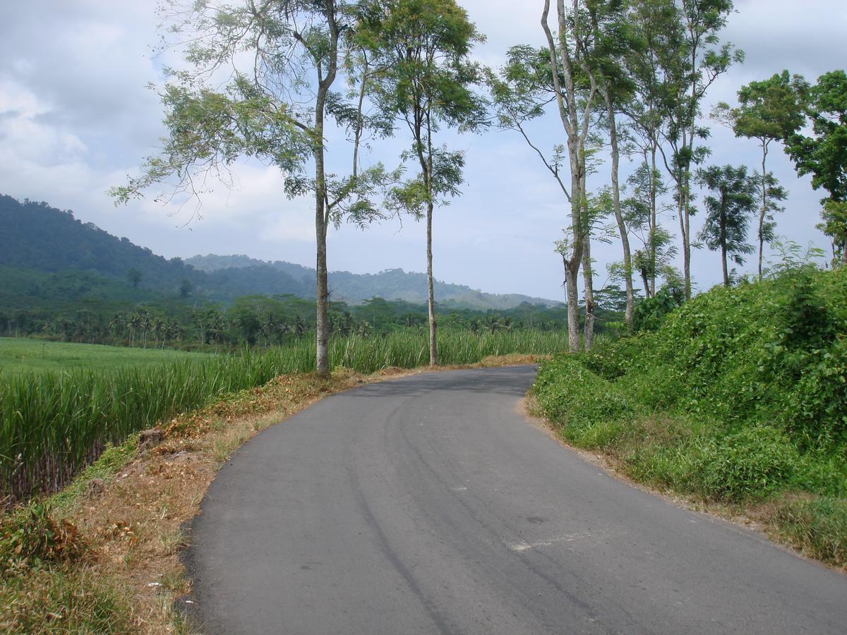 Thalia Homestay & Ijen Bromo Tour بانيووانجى المظهر الخارجي الصورة