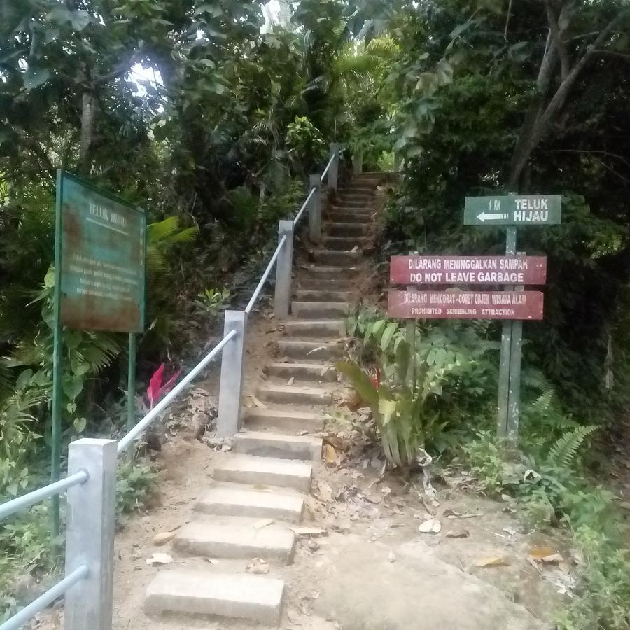 Thalia Homestay & Ijen Bromo Tour بانيووانجى المظهر الخارجي الصورة