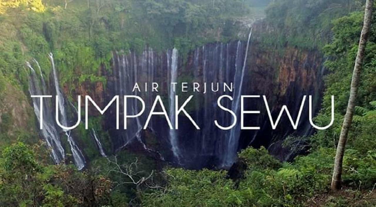 Thalia Homestay & Ijen Bromo Tour بانيووانجى المظهر الخارجي الصورة